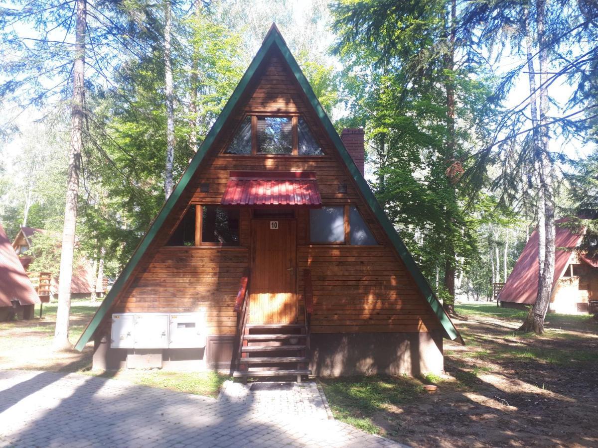 Cw Wyspa Energetyk W Polanczyku - Apartment Polańczyk